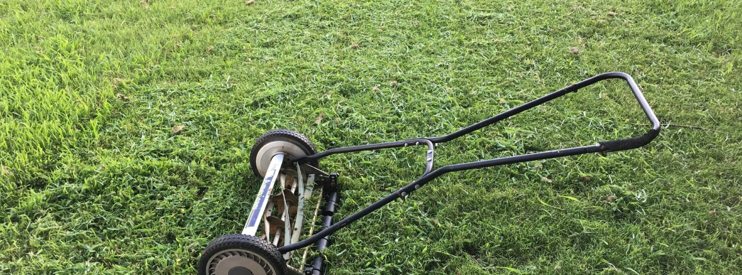 Five Must-Have Backyard Tools Written